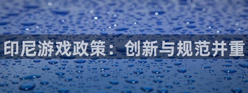 杏耀官网注册平台官网：印尼游戏政策：创新与规范并重