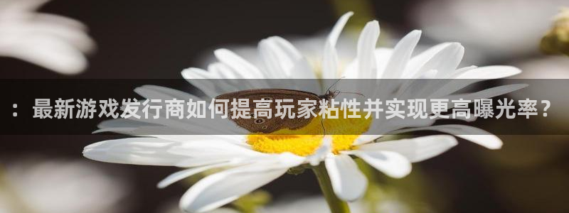 杏耀电子商务有限公司地址：：最新游戏发行商如何提高玩家粘性并实现更高曝光率？