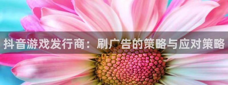 杏耀运动装有哪些品牌