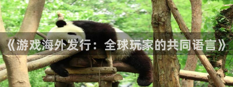 杏耀官网注册登录失败：《游戏海外发行：全球玩家的共同语言》