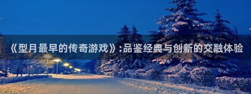 陕西杏耀子文化公司有什么游戏：《型月最早的传奇游戏》:品鉴经典与创新的交融体验