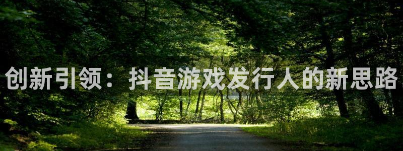 杏耀官网登录注册账号：创新引领：抖音游戏发行人的新思路
