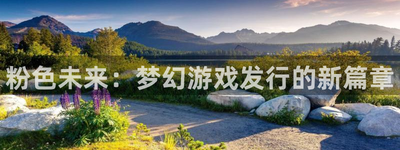 杏耀集团董事长刘一辰简历：粉色未来：梦幻游戏发行的新篇章