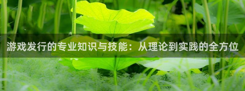 杏耀技术有限公司：游戏发行的专业知识与技能：从理论到实践的全方位
