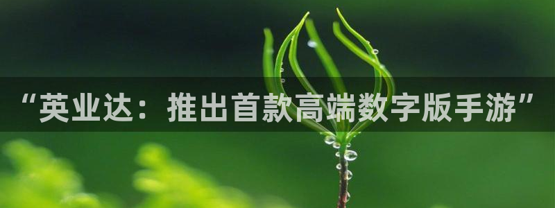 杏耀官网登录注册失败：“英业达：推出首款高端数字版手游”