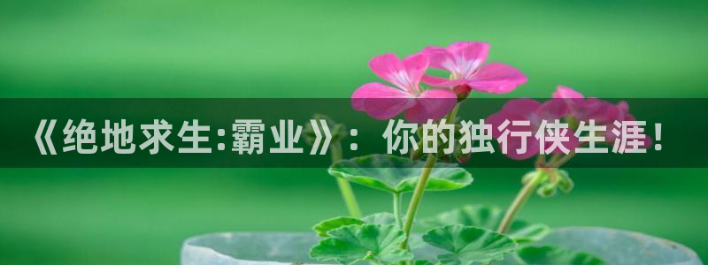 杏耀官网代理开号怎么开