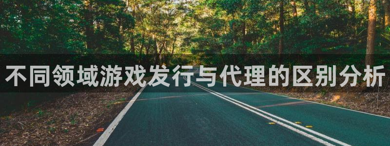 杏耀子文化是干什么的：不同领域游戏发行与代理的区别分析