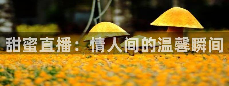 乐球体育免费直播高清