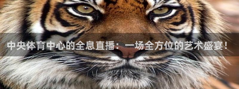 乐球篮球直播：中央体育中心的全息直播：一场全方位的艺术盛宴！