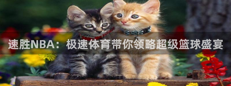乐球体育nba直播入口：速胜NBA：极速体育带你领略超级篮球盛宴